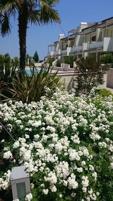Residence Jesolo Lido Centro Con Piscina Zewnętrze zdjęcie