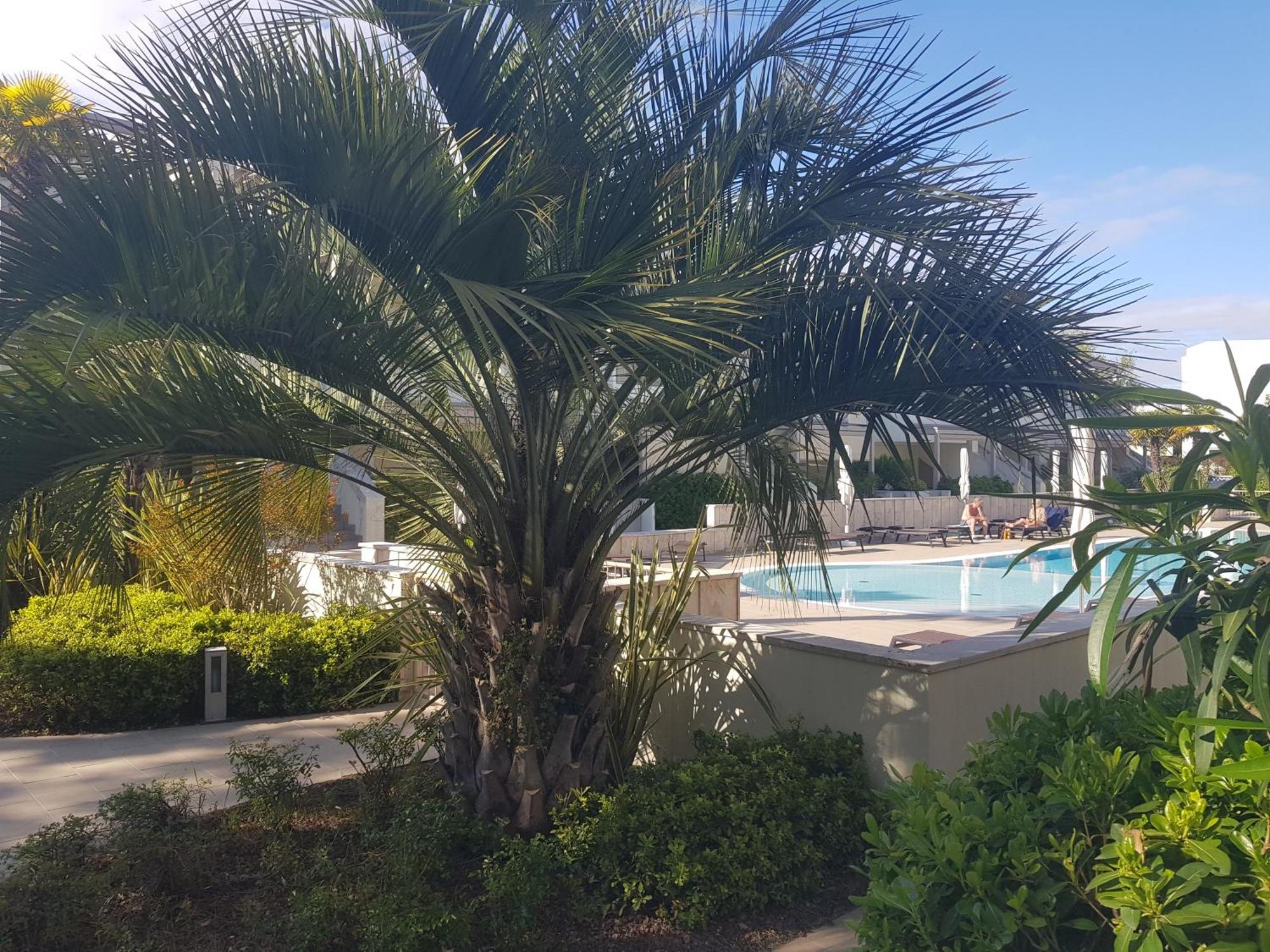 Residence Jesolo Lido Centro Con Piscina Zewnętrze zdjęcie
